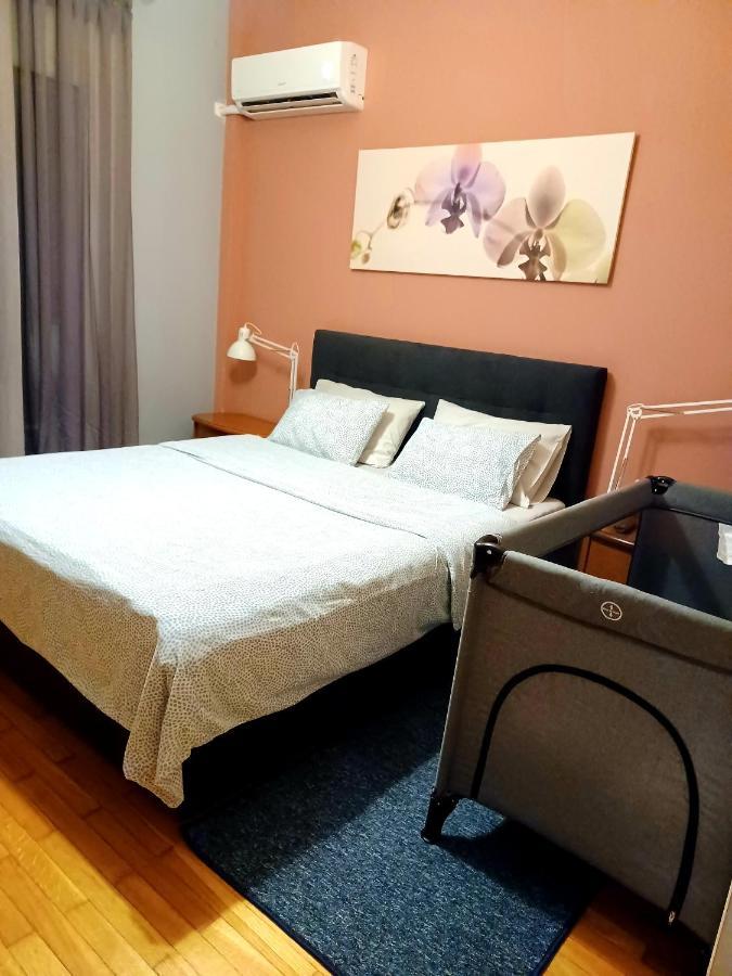 Central Apartment Ioannina Extérieur photo